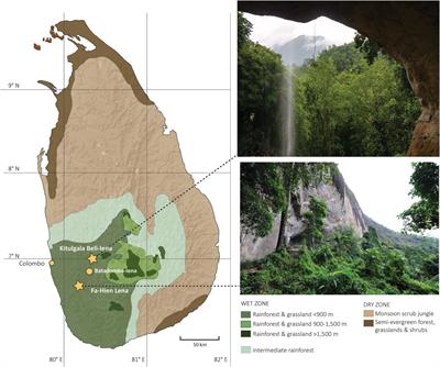 Of forests and grasslands: human, primate, and ungulate palaeoecology in Late Pleistocene-Holocene Sri Lanka